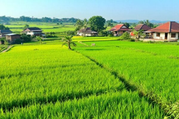 Pemandangan desa Kutanegara yang indah dan hijau.